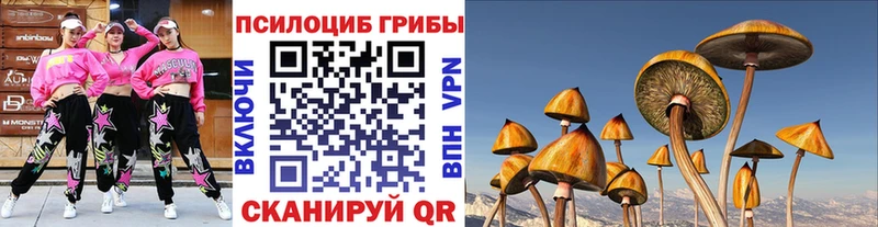 купить закладку  Ирбит  блэк спрут сайт  Псилоцибиновые грибы MAGIC MUSHROOMS 